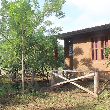 Wilpattu Holiday Home Nochchiyagama Eksteriør bilde