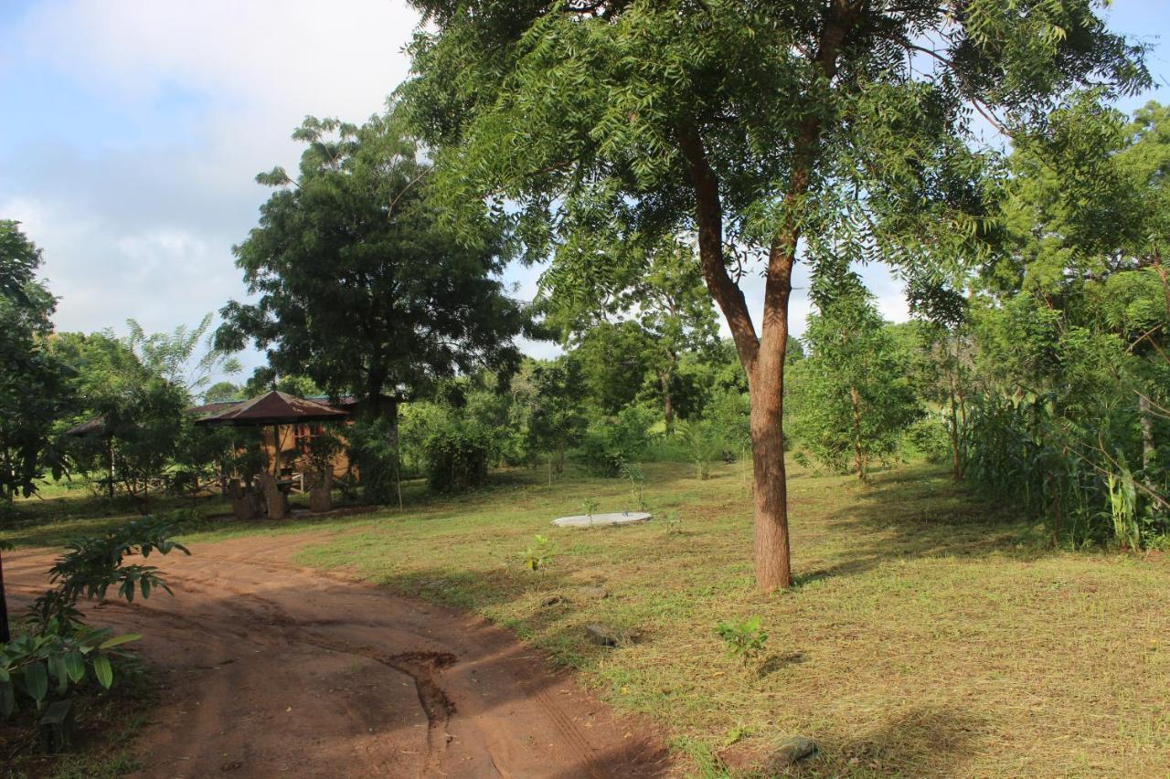 Wilpattu Holiday Home Nochchiyagama Eksteriør bilde