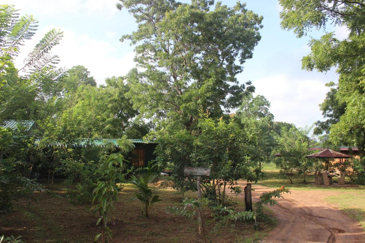 Wilpattu Holiday Home Nochchiyagama Eksteriør bilde